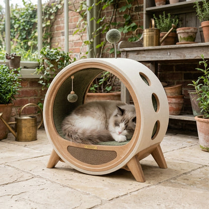 Qivorla™ CozyPorthole Cat Lounge – Elevated Round Cat House with Scratch Pad, Play Toys & Ventilated Hideaway